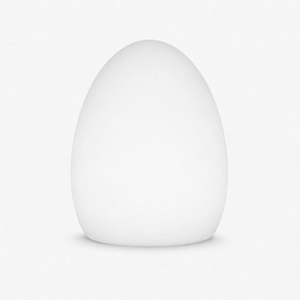 LED Egg Lamp